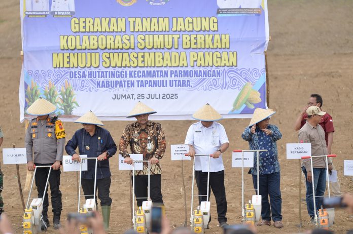 Text foto : Gubernur Sumatera Utara (Sumut) Bobby Nasution bersama Bupati Tapanuli Utara Jonius Taripar Parsaoran Hutabarat menanam jagung pada acara Gerakan Tanam Jagung Kolaborasi Sumut Berkah Menuju Swasembada Pangan di Desa Hutatinggi, Kecamatan Parmonangan, Kabupaten Tapanuli Utara. Jumat (25/7). Pada kesempatan itu Gubernur juga berdialog langsung dengan para petani mengenai kebutuhannya. (Foto : Ist)